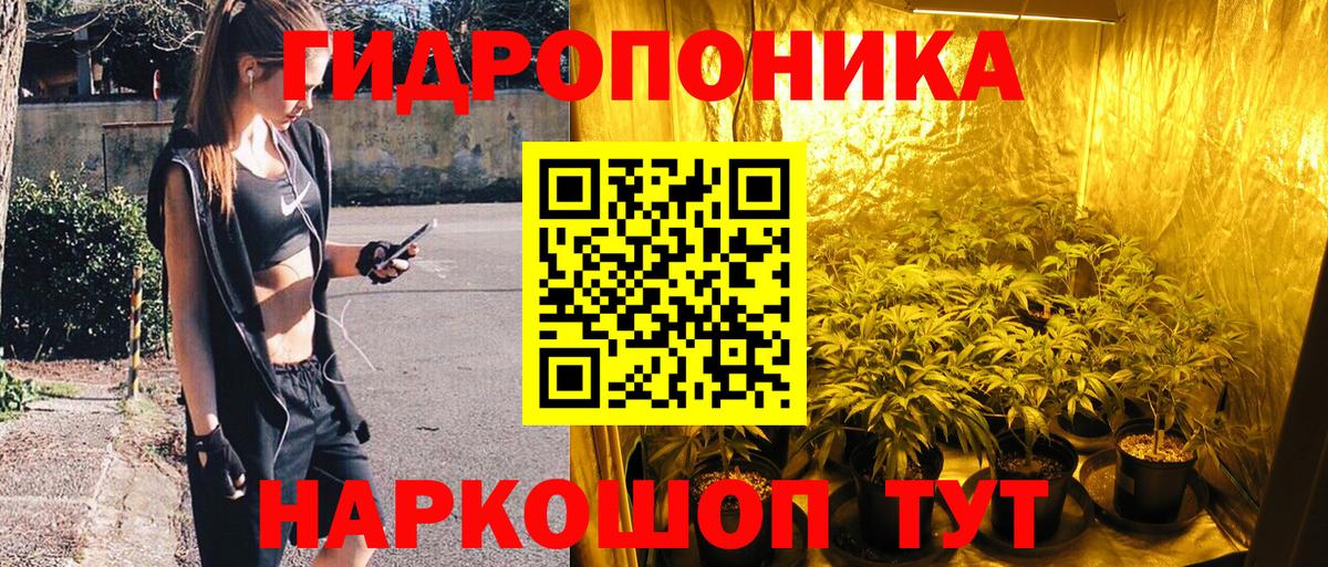 Конопля планчик Торжок